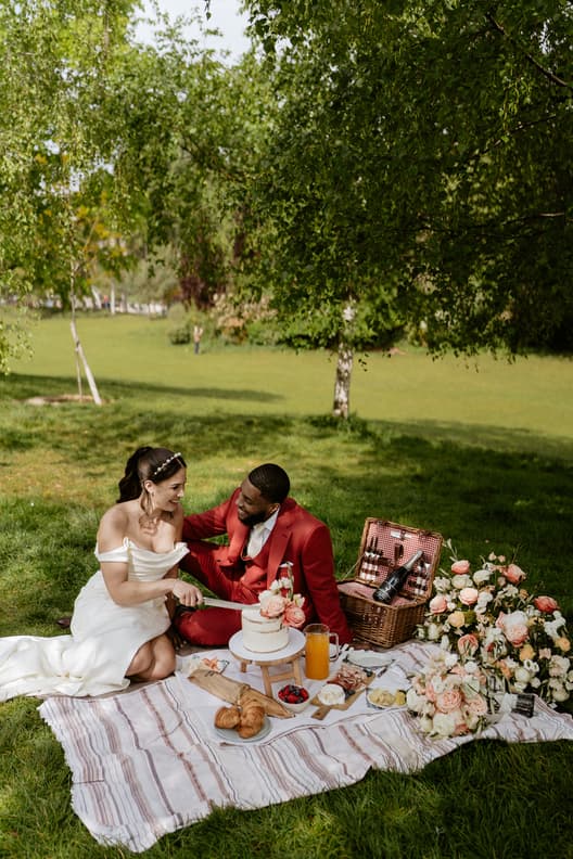 Wedding cake Picnic Wedding Reception intimate Couple elopement