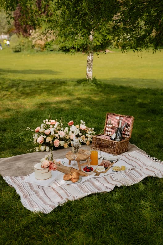 dreamy wedding picnic setup with Cheese, champagne, and pastries